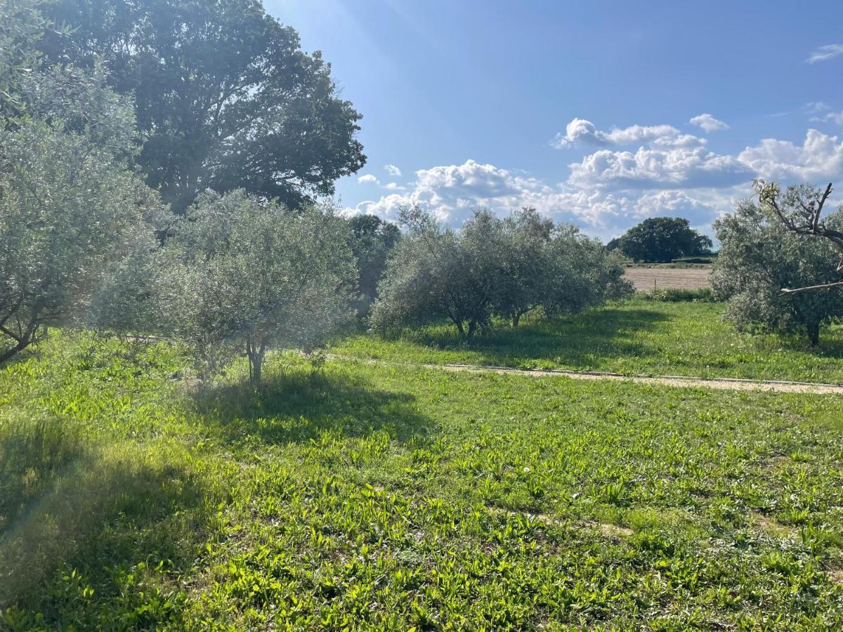 Sous Les Etoiles En Provence, Gite Les Grands Chenes Lurs ภายนอก รูปภาพ