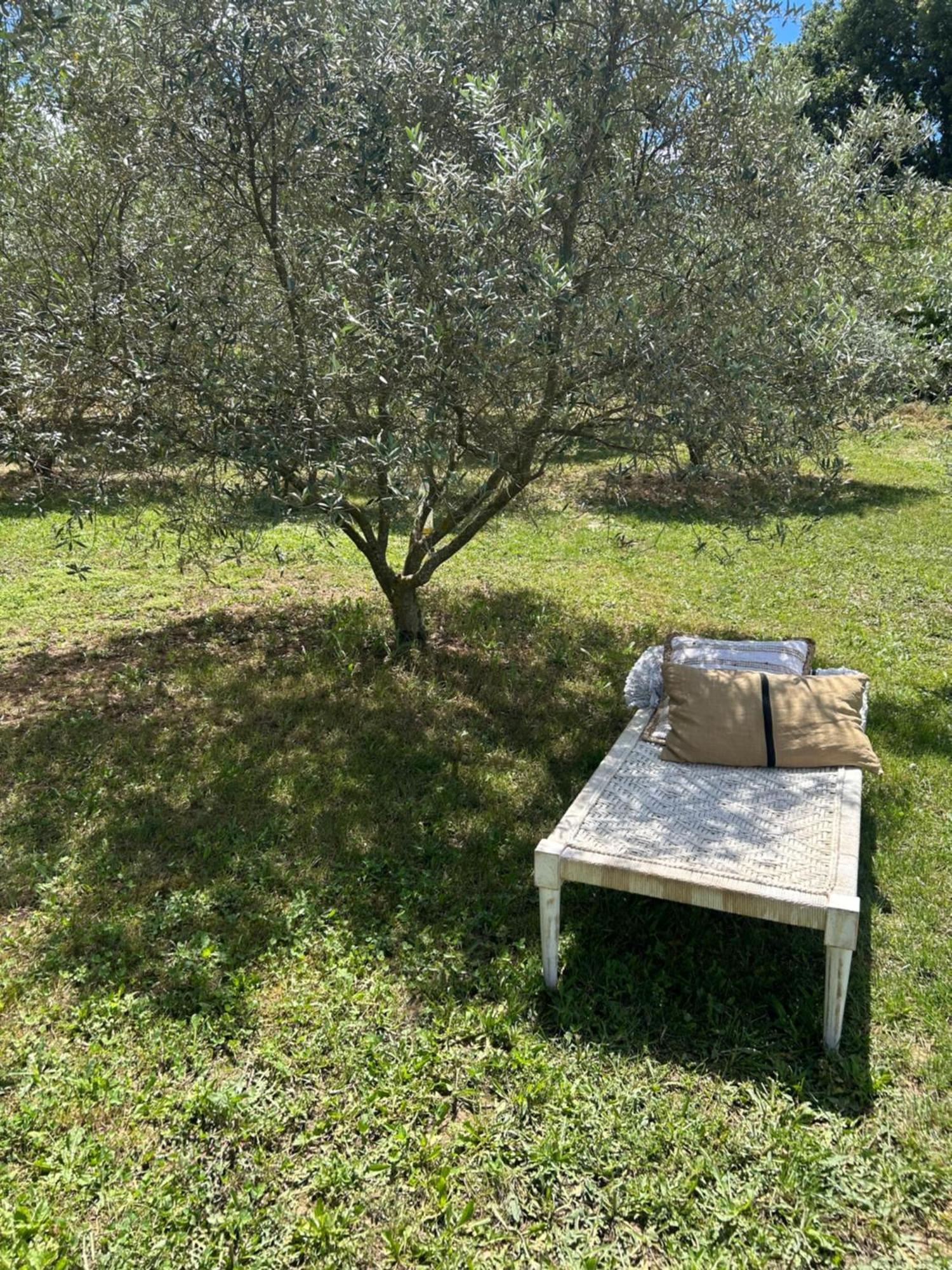 Sous Les Etoiles En Provence, Gite Les Grands Chenes Lurs ภายนอก รูปภาพ